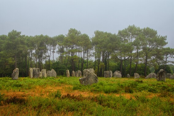 Megalithanlage von Le Ménec - Bretagne null