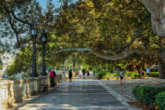 Paseo Canalejas - Cádiz null