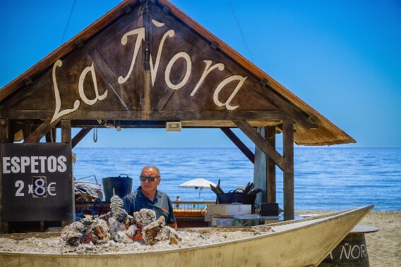 Rrincon de la Victoria null