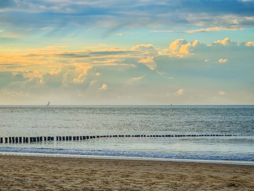 Nieuwvliet - Niederlande