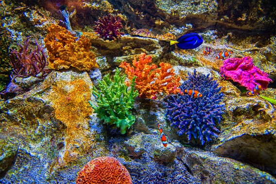 Einfach nur Farben null